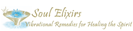 soul elixir remedies